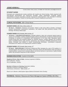 Examples Of Nurses Resumes