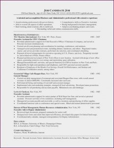 Executive Cv Template Free Download