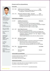Executive Cv Template Word Download