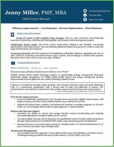 Executive Resume Template Download