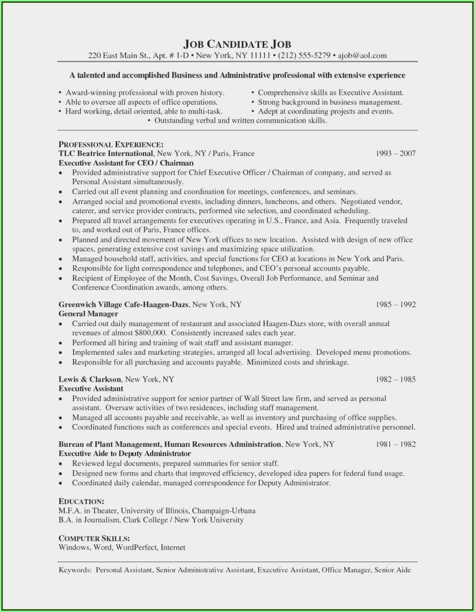 Executive Resume Template Download Free