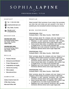 Executive Resume Template Free Download