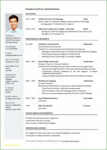 Executive Resume Template Word