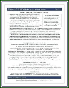 Executive Resume Writing Service Minneapolis