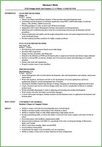 Experienced Magento Developer Resume