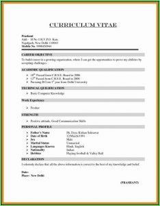 Fashion Designer Resume Format For Fresher Pdf