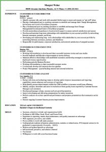 Formulas For Career Success Resumes Fill In The Blank