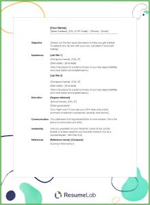 Free Blank Resume Templates Word