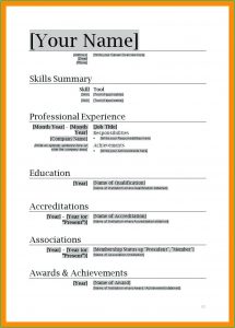 Free Curriculum Vitae Template Microsoft Word