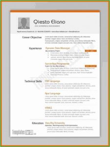 Free Cv Sample Download