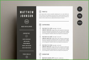 Free Cv Template Word Mac