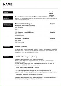 Free Download Cv Format In Ms Word 2007