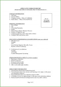 Free Download Resume Format In Ms Word