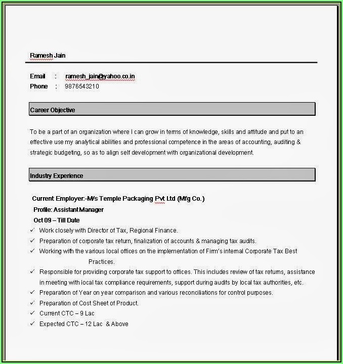 Free Download Resume Format In Word 2007