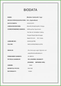 Free Download Resume Format In Word File