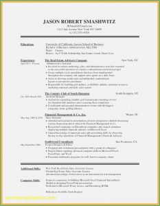 Free Download Resume Templates For Microsoft Word 2010