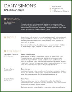 Free Download Resume Templates Microsoft Word 2007