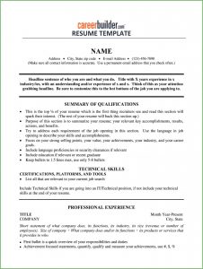 Free Fill In Resume Template Pdf