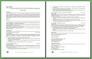 Free Online Resume Maker Professional