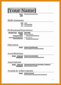 Free Resume Format Download In Ms Word 2007