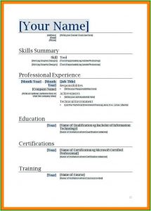 Free Resume Maker Printable