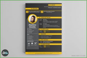 Free Resume Maker With Photo