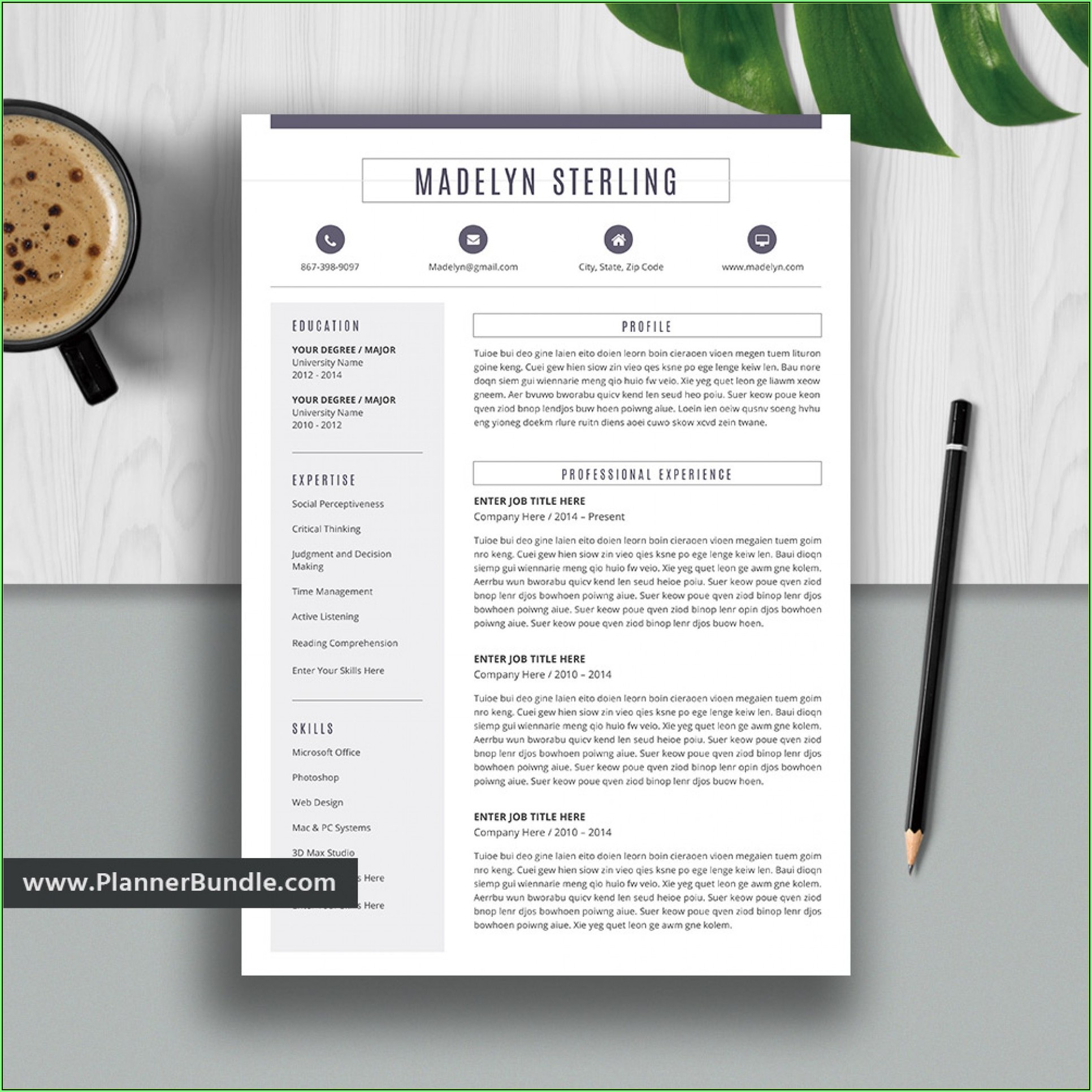 Free Resume Samples For College Students