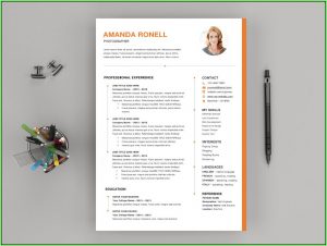 Free Resume Template Download Microsoft Word