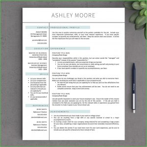 Free Resume Template Mac