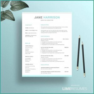 Free Resume Templates Download For Mac