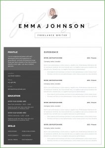 Free Resume Templates For Mac Microsoft Word