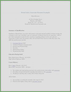 Free Sales Associate Resume Templates