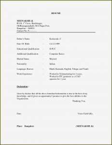 Free Templates For Curriculum Vitae