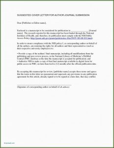 Free Wedding Invitation Border Template Download