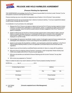 Illinois Llc Operating Agreement Template