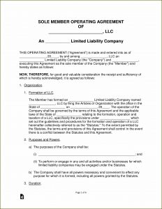 Illinois Series Llc Operating Agreement Template