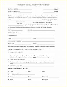 Medical Treatment Authorization And Consent Form Template