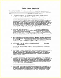 Month To Month Rental Agreement Template Word South Africa