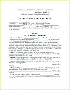 Multi Member Llc Operating Agreement Template Free