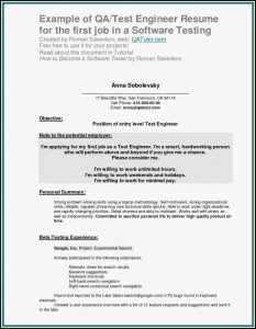 My First Job Resume Templates