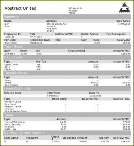 Pay Stub Generator Template