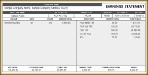 Pay Stub Maker Template