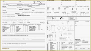 Pro Forma Income Statement Template Free Download