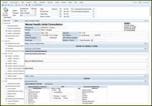 Psychiatry Emr Templates