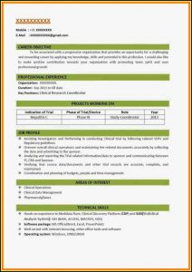 Resume Format 2018 Free Template