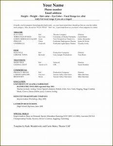 Resume Template Microsoft Word 2010