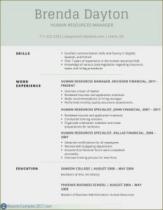 Resume Templates Microsoft Word 2007