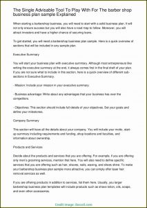 Retail Business Plan Example Pdf