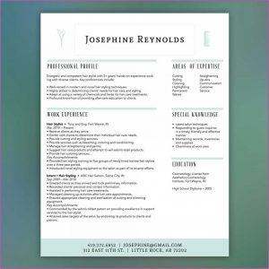 Creative Cosmetology Resume Templates
