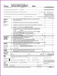 Federal Income Tax Return Form 1040ez